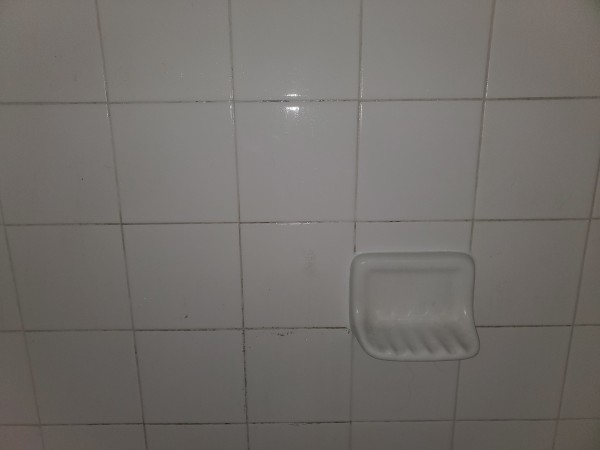 Tile & Grout Cleaning in Lexington, SC (1)